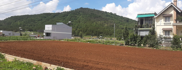Chính chủ cần bán lô đất đẹp vị trí đắc địa tại thị trấn Liên Nghĩa, huyện Đức Trọng, tỉnh Lâm Đồng-02