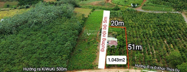 Cần mở công ty bán mảnh đất, 1043m2 vị trí tốt ở Khúc Thừa Dụ, Bảo Lộc giá mềm sinh viên-03
