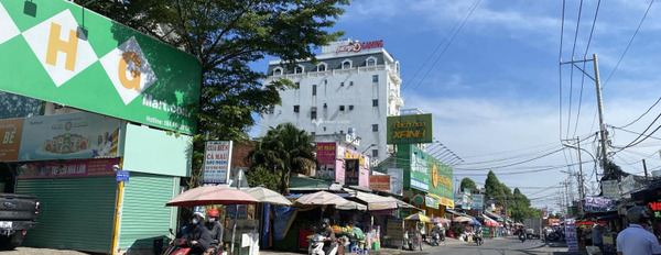 Cho thuê nhà ở tổng diện tích là 250m2 giá thuê khởi đầu chỉ 40 triệu/tháng vị trí mặt tiền tọa lạc ngay trên Trung Mỹ Tây, Hồ Chí Minh-03
