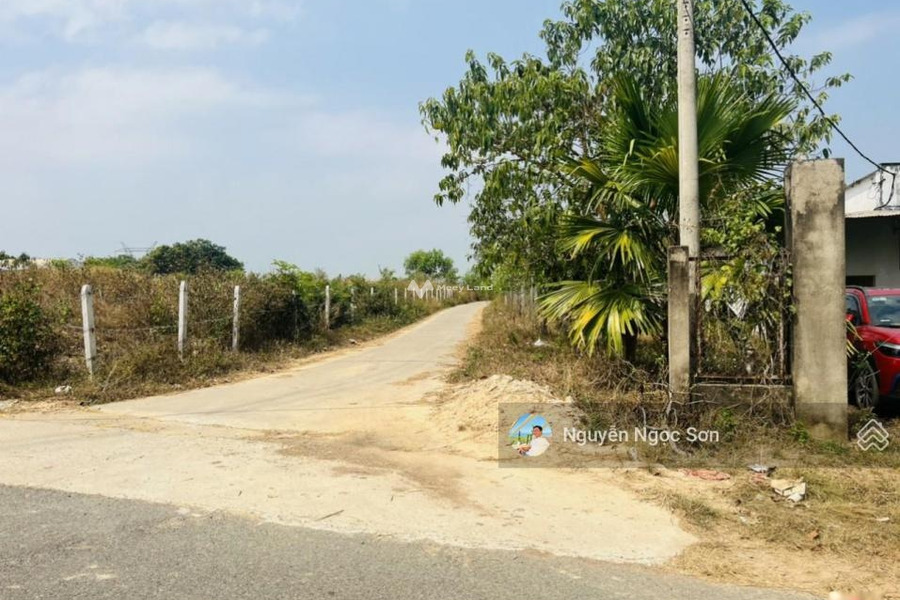 Định Quán, Đồng Nai 810 triệu bán đất có diện tích rộng 240m2-01