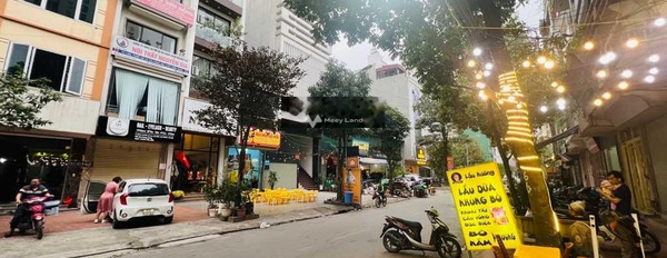 Căn nhà có tổng 5 PN bán nhà bán ngay với giá khủng chỉ 11 tỷ diện tích chuẩn 50m2 vị trí đẹp tọa lạc gần Lê Lai, Hà Nội-03