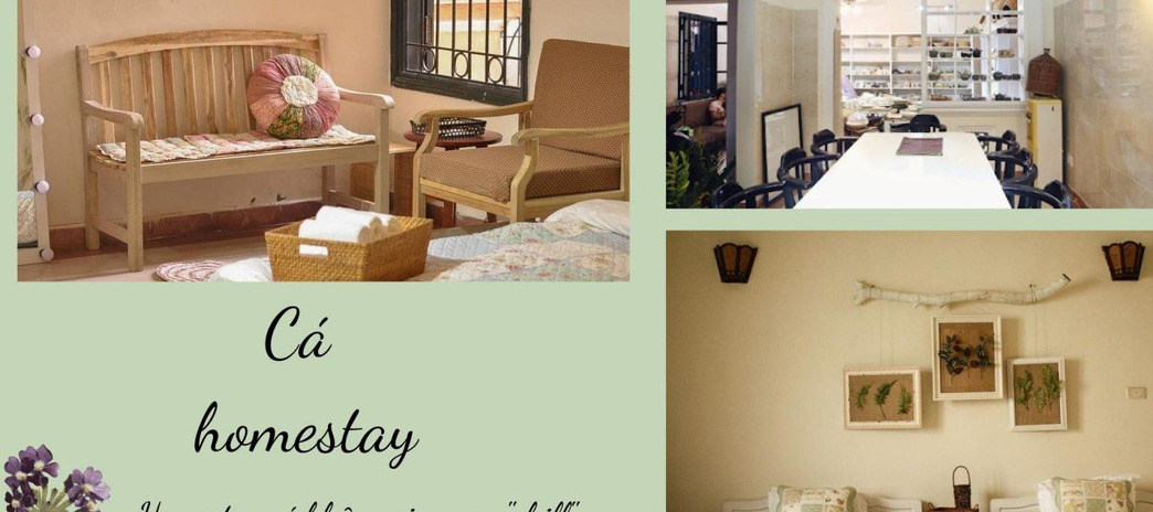 Cho thuê Cá homestay Hà Nội