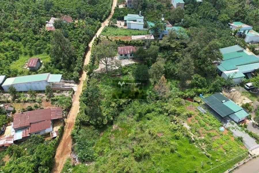 4.2 tỷ bán đất có diện tích trung bình 2200m2 vị trí đẹp tọa lạc ở Lộc An, Lâm Đồng-01