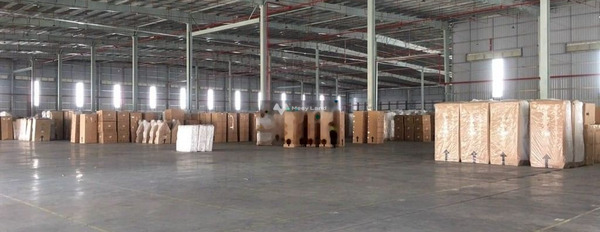 Thừa nên cho thuê mặt bằng diện tích rộng 100m2 thuê ngay với giá siêu rẻ 10 triệu/tháng hẻm rộng-03