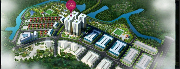 Ruby Tower Thanh Hóa bán shophouse diện tích 62.5m2 mặt tiền nằm ngay ở Lam Sơn, Thanh Hóa view bao đẹp-02