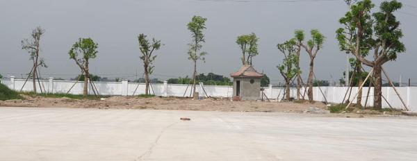 Bán nhà máy, kho xưởng, cơ sở sản xuất tại Hưng Yên, trục đường chính Quốc lộ gần Hà Nội-03