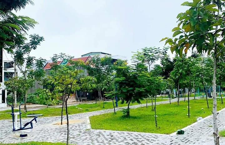 Mua bán đất Thành phố Quy Nhơn Tỉnh Bình Định giá 1.4 tỷ