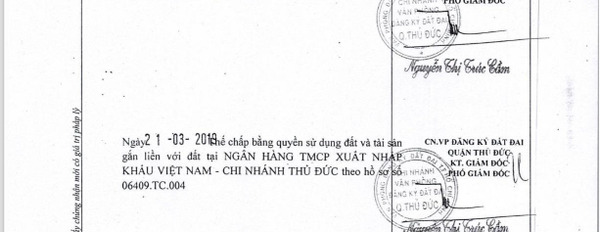 Hướng Đông - Nam, bán nhà diện tích khoảng 54.1m2 vị trí đẹp ở Đường Số 4, Hồ Chí Minh bán ngay với giá rẻ 5.8 tỷ trong nhà nhìn chung có 5 PN, 3 WC-02