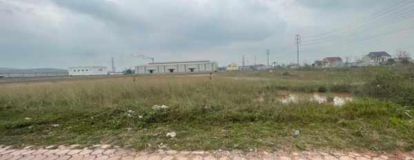 Bán 2ha nằm trong khu công nghiệp Điền Thuỵ, lô đất 2 mặt đường-03