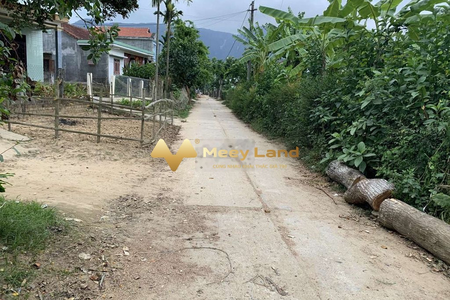 Nằm tại Huyện Đại Lộc, Tỉnh Quảng Nam bán đất 190 triệu diện tích là 90 m2-01