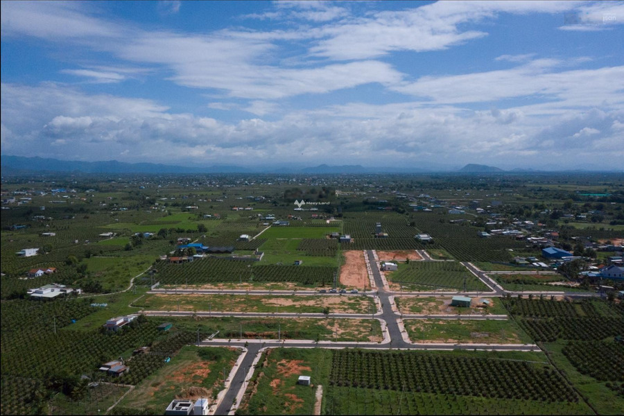 Trung tâm dự án An Phước Riverside bán mảnh đất, giá siêu ưu đãi từ 940.8 triệu, hướng Đông - Nam diện tích 96m2-01