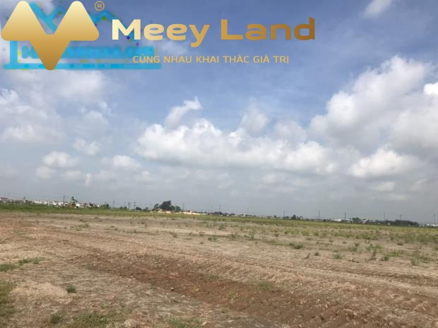 Giá tốt từ 12.6 tỷ bán đất Có tổng diện tích 9000 m2 mặt tiền nằm ngay ở Quốc Lộ 31, Lạng Giang