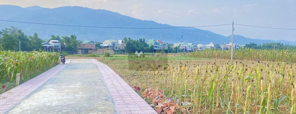 Ở Đại Quang, Đại Lộc bán đất 150 triệu diện tích rộng rãi 160m2-02