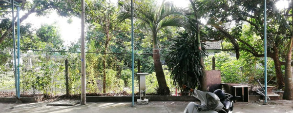 Cho thuê nhà vị trí đẹp nằm trên Củ Chi, Hồ Chí Minh, thuê ngay với giá bàn giao chỉ 8 triệu/tháng diện tích chuẩn là 200m2, trong căn này có 4 PN-03