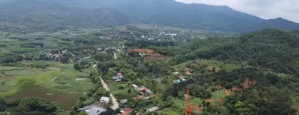 Cần bán gấp lô đất tại xã Vân Hòa, Ba Vì, Hà Nội diện tích 4158m2 có 400m2 đất xây dựng -02
