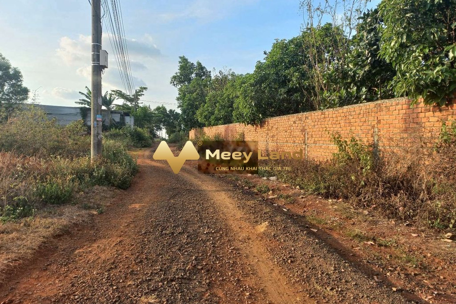 Bán đất 100m2 vị trí đặt vị trí nằm trên Buôn Ma Thuột, Đắk Lắk-01