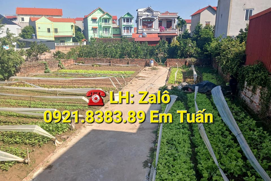 Cần bán nhà riêng huyện Mê Linh-01