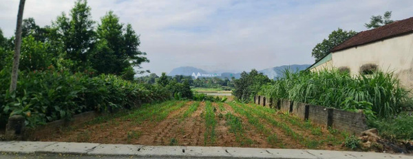 Minh Quang, Hà Nội bán đất giá phải chăng 1.55 tỷ, hướng Đông - Nam diện tích tiêu chuẩn 303m2-02