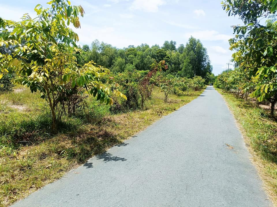 Bán đất huyện Củ Chi thành phố Hồ Chí Minh giá 27.7 tỷ-2