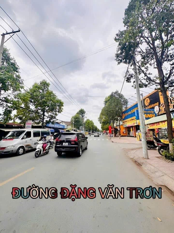 Bán đất thành phố Biên Hòa tỉnh Đồng Nai giá 3.95 tỷ-0