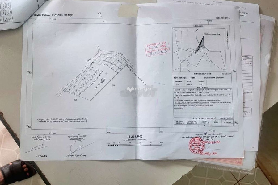 Vị trí thuận lợi tọa lạc ngay ở Phước Minh, Bù Gia Mập bán đất giá hấp dẫn chỉ 180 triệu diện tích 260m2-01