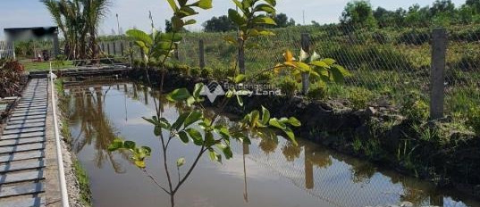 Ở Kà Tum, Tây Ninh bán đất 515 triệu diện tích thực dài 1020m2-03