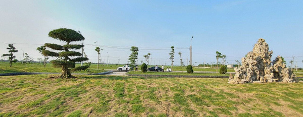 Chỉ 650 triệu sở hữu lô đất nền đầu tư tại Tiền Hải, Thái Bình, gần cao tốc bao biển, đối diện khu công nghiệp Viglacera-03