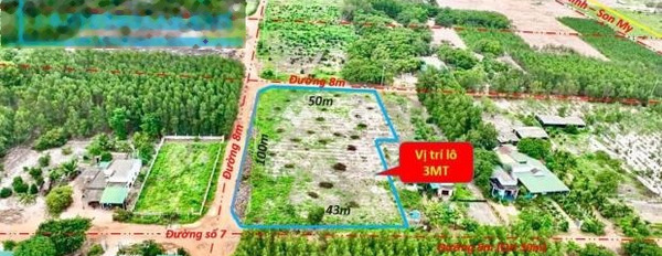 17 tỷ bán đất diện tích vừa phải 4900m2 vị trí đặt tọa lạc ngay trên Hàm Tân, Bình Thuận-02